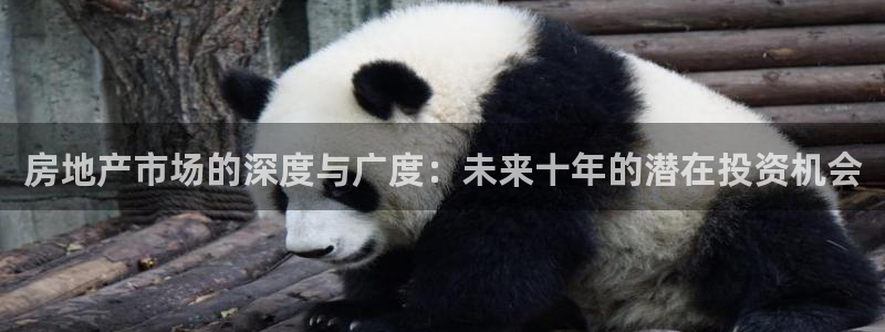 和记娱乐旗舰官网：房地产市场的深度与广度：未来十年的潜在投资