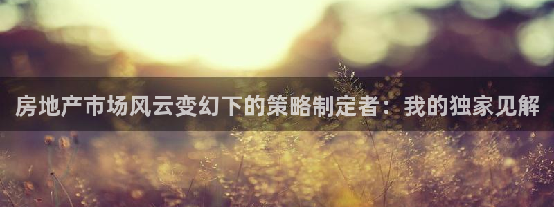 三宇和记官网：房地产市场风云变幻下的策略制定者：我的独家见解