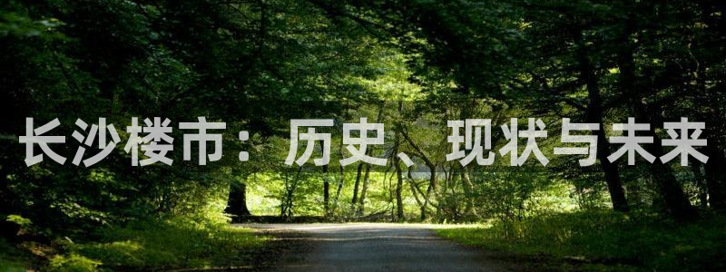 香港和记电讯官网：长沙楼市：历史、现状与未来