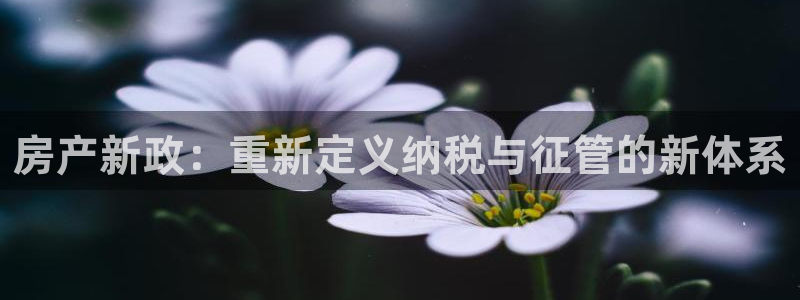 和记娱乐h8官网：房产新政：重新定义纳税与征管的新体系