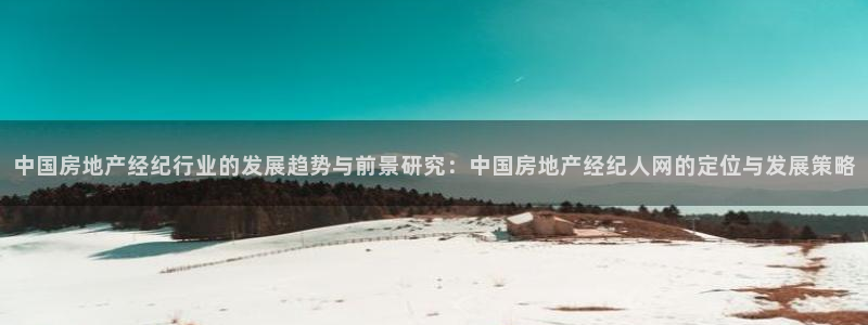 和记怡情视频在线官网：中国房地产经纪行业的发展趋势与前景研究