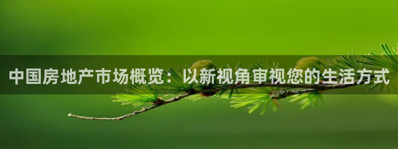 和记官网官网入口：中国房地产市场概览：以新视角审视您的生活方