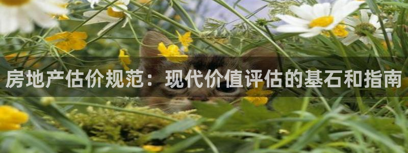 香港3和记官网：房地产估价规范：现代价值评估的基石和指南
