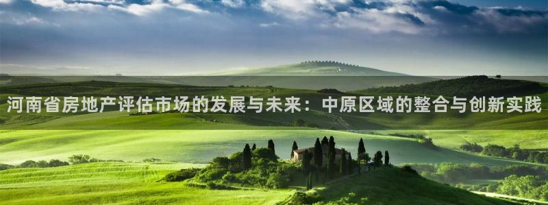 和记h188官网：河南省房地产评估市场的发展与未来：中原区域