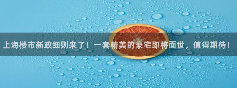 和记官网ap：上海楼市新政细则来了！一套精美的豪宅即将面世，