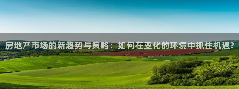 和记h1888怡情官网：房地产市场的新趋势与策略：如何在变化