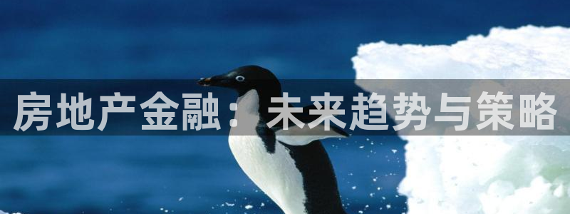 和记娱乐h8官网：房地产金融：未来趋势与策略