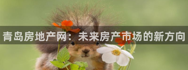 和记娱的确好h88285官网：青岛房地产网：未来房产市场的新