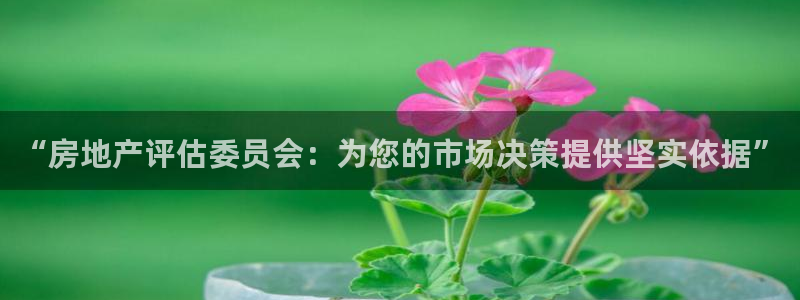 和记官网客服app：“房地产评估委员会：为您的市场决策提供坚