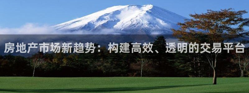 香港和记通讯官网：房地产市场新趋势：构建高效、透明的交易平台