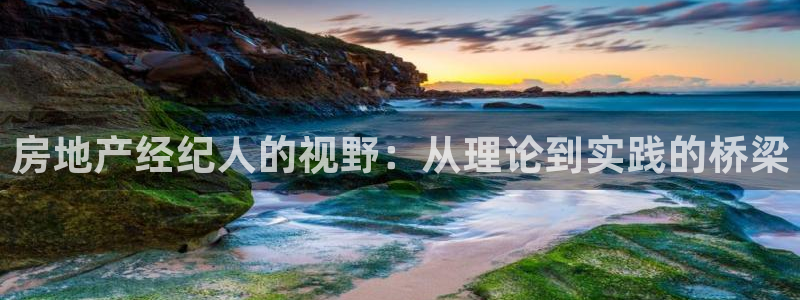 澳门3和记官网：房地产经纪人的视野：从理论到实践的桥梁