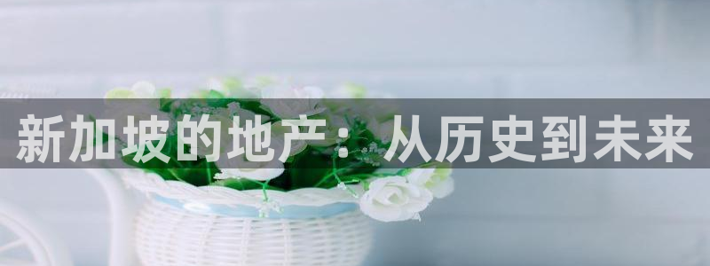 和记黄埔武汉官网：新加坡的地产：从历史到未来