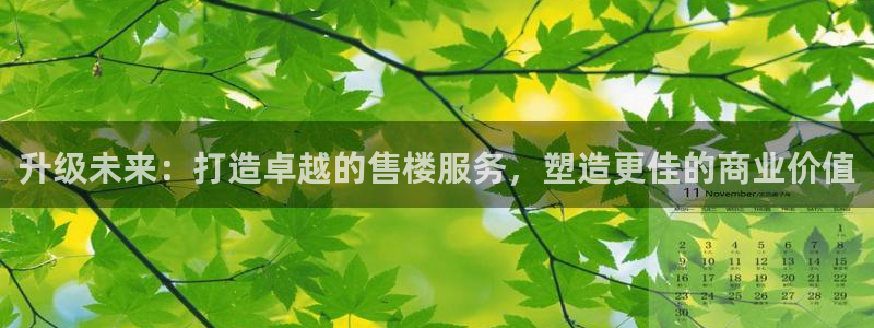 和记备用网官网开户：升级未来：打造卓越的售楼服务，塑造更佳的