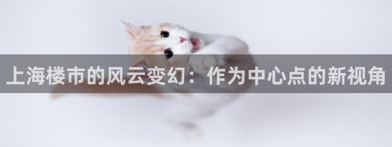 和记怡情博娱官网：上海楼市的风云变幻：作为中心点的新视角