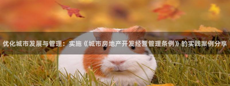 澳门和记客服官网：优化城市发展与管理：实施《城市房地产开发经