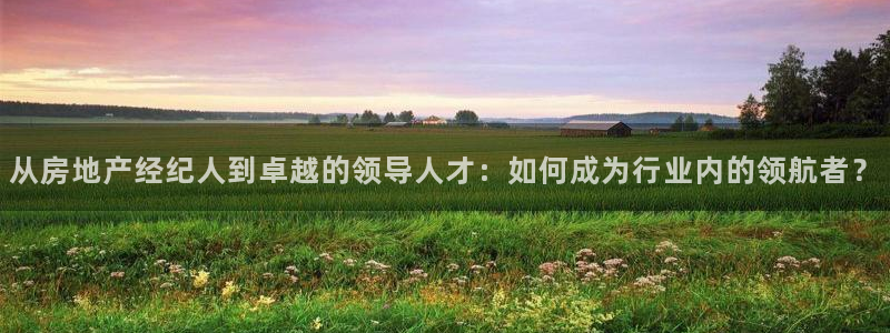 和记彩官网：从房地产经纪人到卓越的领导人才：如何成为行业内的