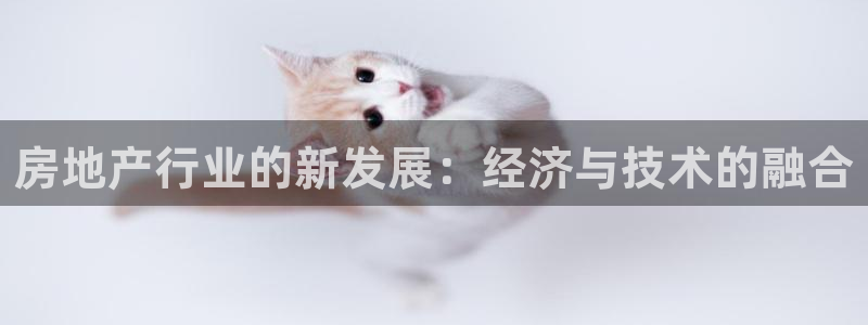 和记门店官网：房地产行业的新发展：经济与技术的融合