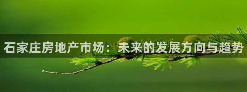 和记国际有限公司官网：石家庄房地产市场：未来的发展方向与趋势