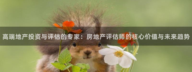 上海和记黄埔官网：高端地产投资与评估的专家：房地产评估师的核