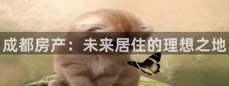 毛记和意冒菜官网加盟：成都房产：未来居住的理想之地