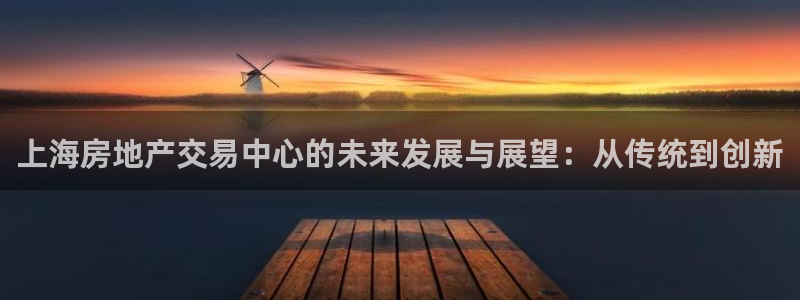 和记奥普泰 官网：上海房地产交易中心的未来发展与展望：从传统