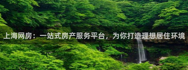 和记体育买球官网