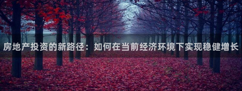郑州和记酒业官网：房地产投资的新路径：如何在当前经济环境下实