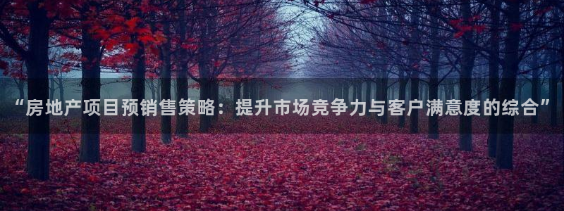 印尼和记官网：“房地产项目预销售策略：提升市场竞争力与客户满