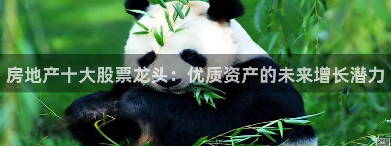 和记登录官网：房地产十大股票龙头：优质资产的未来增长潜力