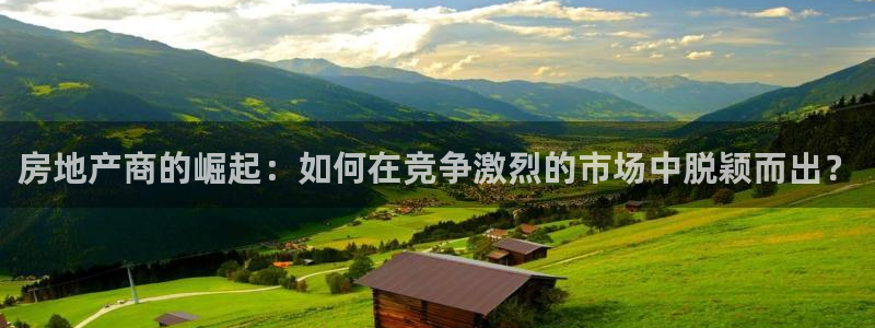 香港和记隆官网：房地产商的崛起：如何在竞争激烈的市场中脱颖而