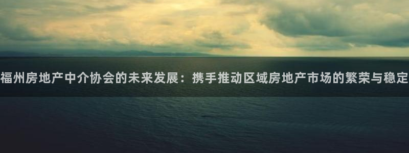 和记奥普泰 官网：福州房地产中介协会的未来发展：携手推动区域
