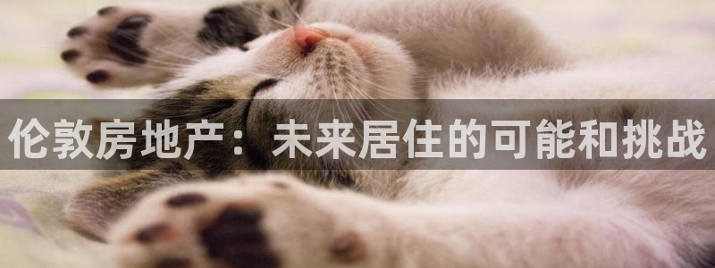 和记娱乐app官网登录：伦敦房地产：未来居住的可能和挑战