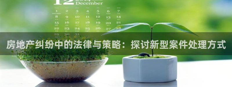 香港和记黄埔官网：房地产纠纷中的法律与策略：探讨新型案件处理