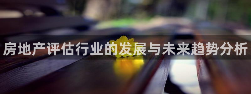 和记黄埔 官网：房地产评估行业的发展与未来趋势分析