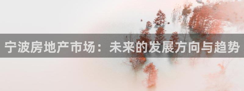 和记唯一官网：宁波房地产市场：未来的发展方向与趋势