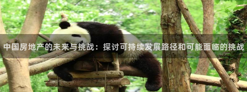 和记官网官网入口：中国房地产的未来与挑战：探讨可持续发展路径